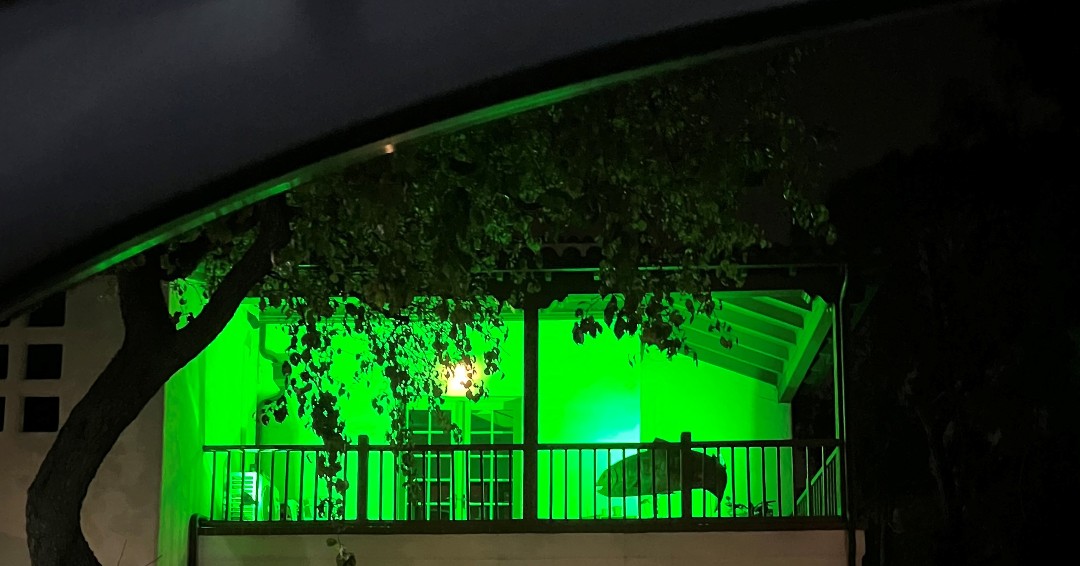 Sustainability and Resilience Office Light up Green