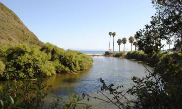 Arroyo Burro Estuary at Arroyo Burro Beach