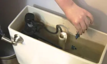 Toilet Dye Test Leak