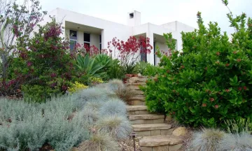 Updating the Landscape Design Standards for Water Conservation image of house and water wise landscaping