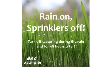 A graphic showing grass and the text Rain on, Sprinklers off!