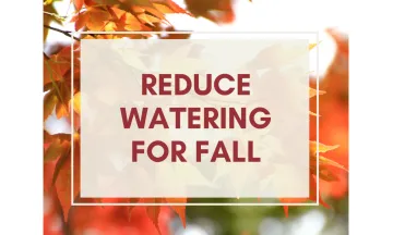 a graphic that says Reduce Watering for Fall
