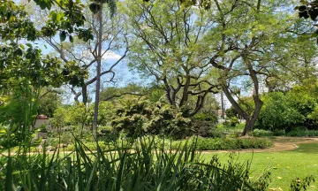 Turf at Alice Keck Park Memorial Garden