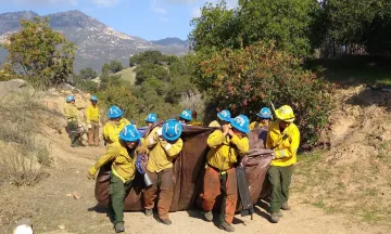 Employees carrying bags of vegetation up a hill