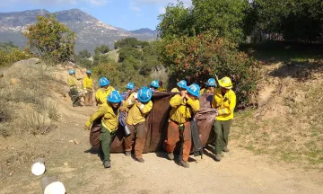 A crew removing vegetation from Stevens Park