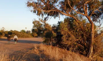 To people walking on a trail.