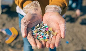 Stock image of close up of a person's gloved hands holding an assortment of microplastic pieces, with a beach cleanup taking place in the background.