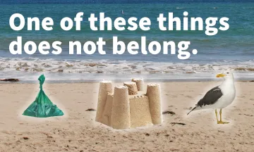 Image of a beach with a dog waste bag, sandcastle, and seagull with text "One of these things does not belong."