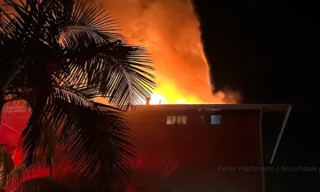 Image shows flames coming from a roof in the night with a palm tree in the corner