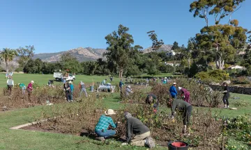 Volunteers working together to prune the rose garden at Mission Historical Park with a view of the mountains in the background.