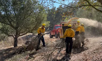 Vegetation management puts brush into a chipper