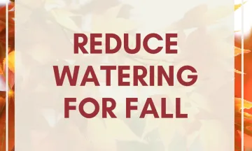 Reduce watering for fall