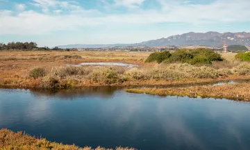 Goleta Slough with the mountain range in the background