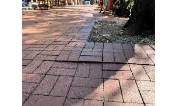 Pavement_crack