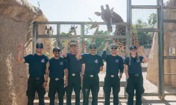 Wildfire resiliency staff pose in front of Giraffes at the SB Zoo
