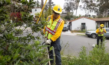 defensible space crew clearing brush.