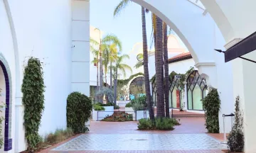 Paseo Nuevo courtyard with white arches, palm trees, and tiled pathways in a serene shopping area.