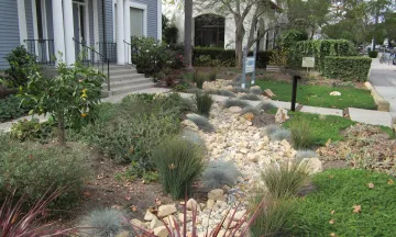 Rain Garden at the Santa Barbara Association of Realtors office