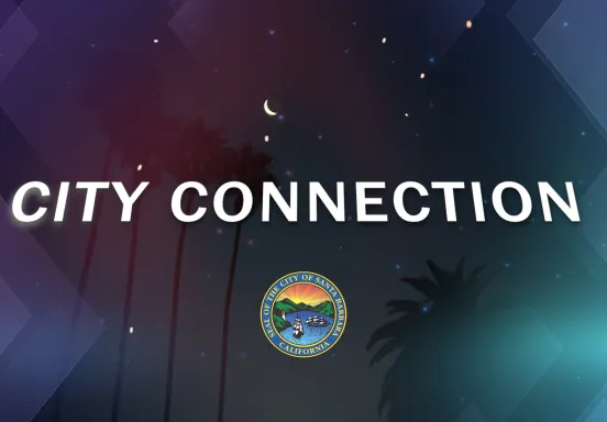 Graphic reads "City Connection" against a blue background with palm trees and geometric shapes
