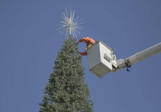 A man on a crane putting a star at the top of the holiday tree