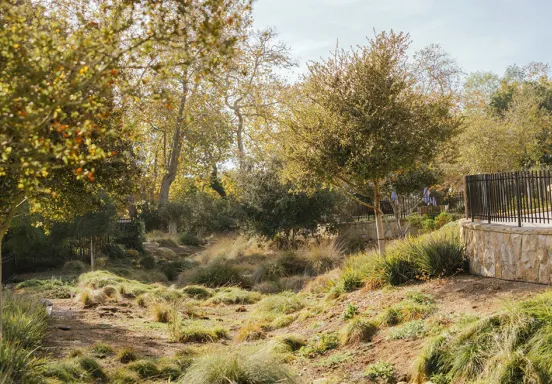 Photo of Ridley Tree Center with storm water management approved landscaping