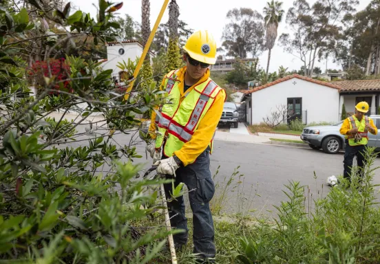 defensible space crew clearing brush.
