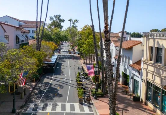 900-1100 Blocks of State Street lined with palm trees and American flags, featuring shops and crosswalks.