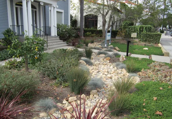 Rain Garden at the Santa Barbara Association of Realtors office
