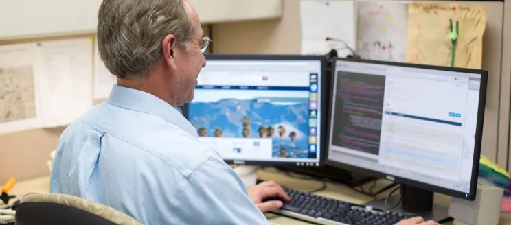 Staff Person Working at a Computer