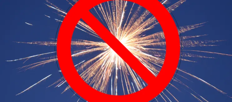 Firework PSA