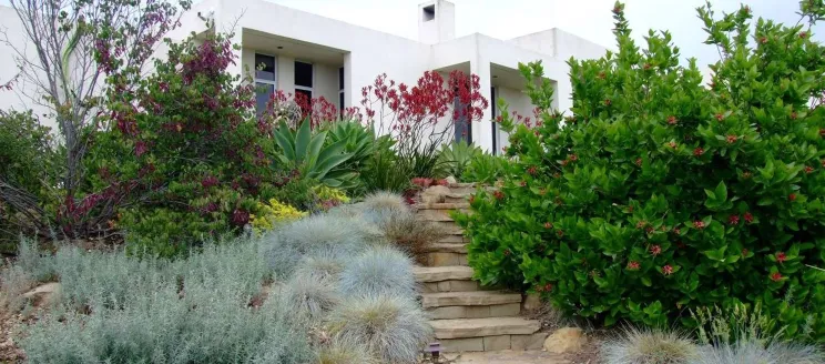 Updating the Landscape Design Standards for Water Conservation image of house and water wise landscaping