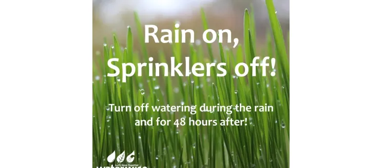A graphic showing grass and the text Rain on, Sprinklers off!