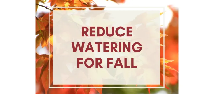 a graphic that says Reduce Watering for Fall