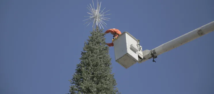 A man on a crane putting a star at the top of the holiday tree