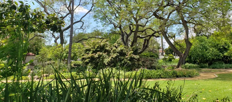 Turf at Alice Keck Park Memorial Garden