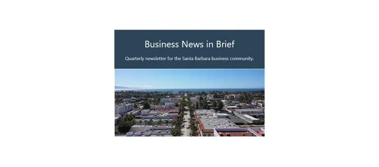 An aerial view of the city with a blue banner above that says City Business in Brief 