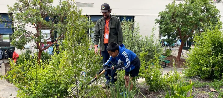 A student shovels dirt onto a new Cherry laurel tree