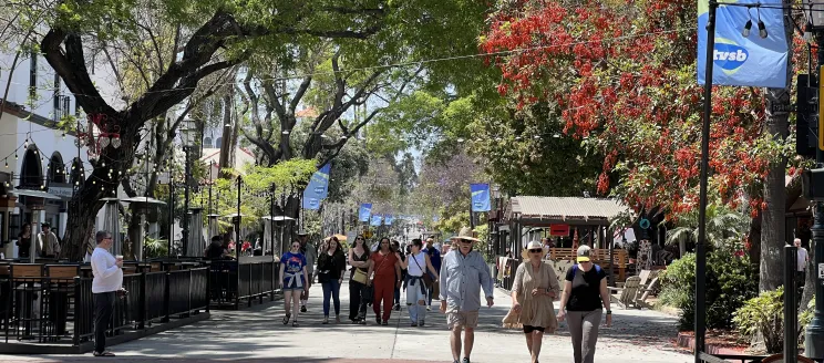 Image shows a scenic shot of people walking the State Street Promenade 