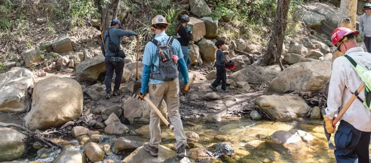 Volunteers work to restore a Santa Barbara soul