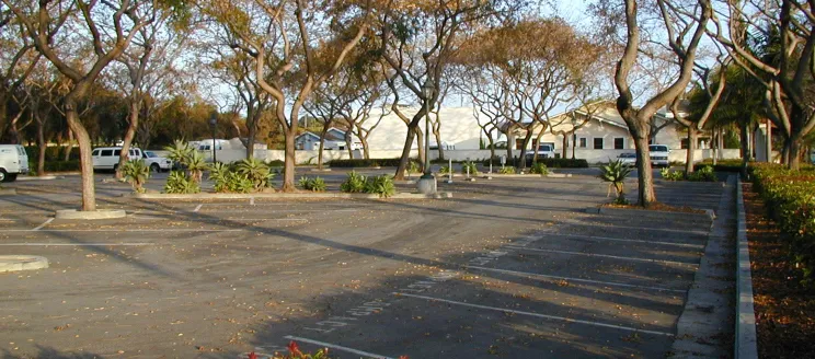 Image of Carrillo Commuter Parking Lot from Carrillo Street looking West, empty and clean parking lot with trees and fallen leaves on the ground throughout the parking lot 