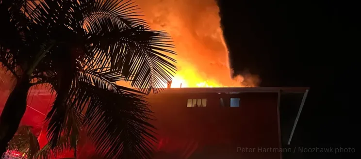 Image shows flames coming from a roof in the night with a palm tree in the corner