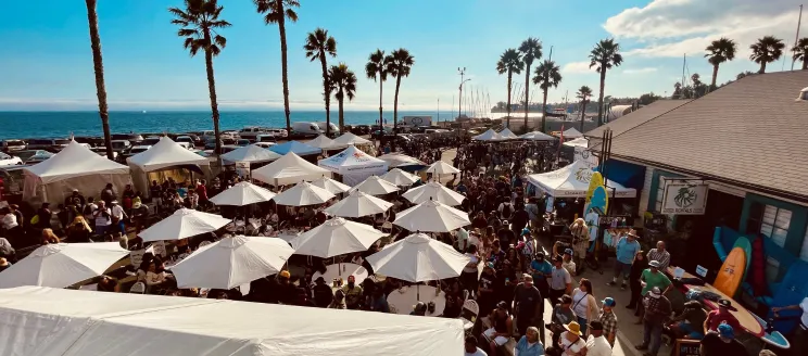 A large crowd gathers along the waterfront. 