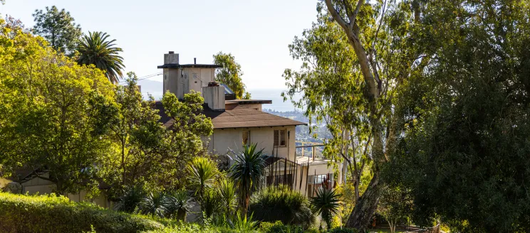 Franceschi House appears through trees