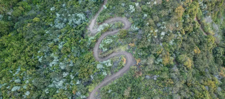 An aerial view of a winding trail in Parma Park