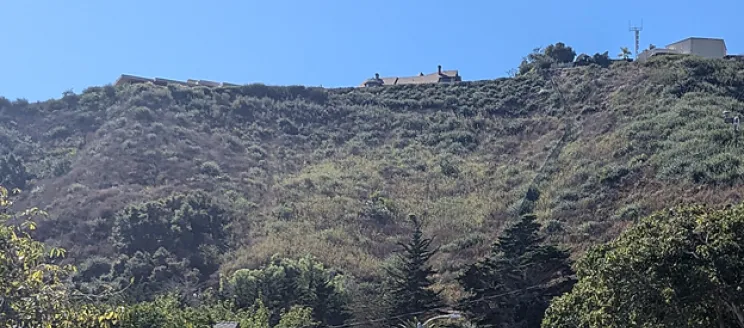 Loma_Alta_Hillside