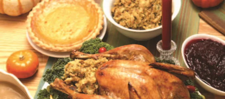 Thanksgiving meal of Turkey, stuffing, pies and sides. 