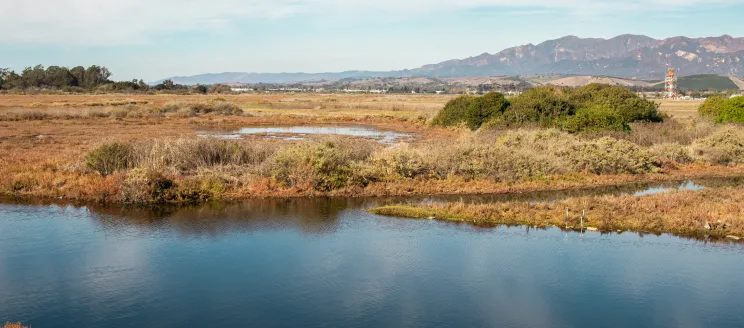 Goleta Slough with the mountain range in the background