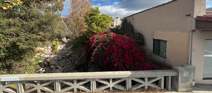 Mission Creek at De La Vina with overgrown vegetation encompassing a City building.