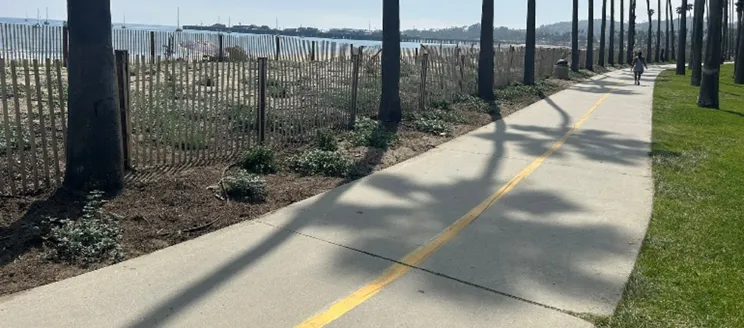 After photo of restoration area from the multi use path looking north to Stearns Wharf