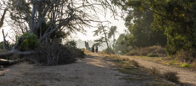 Picture of trail along Douglas Family Preserve and view of a couple on the cliffs overlooking the ocean